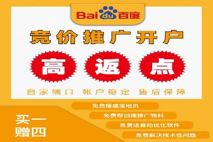 深入剖析SEM公司成功案例：数据驱动的广告策略